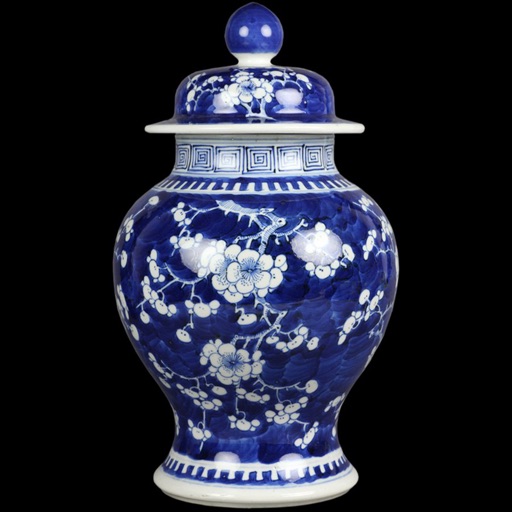 Chinese Ceramics 101-Art Culture and Paleolithic icon