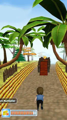 Game screenshot Ninja Run 3D Free apk