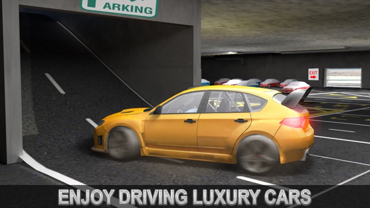 Multi-Level Snow Car Parking Mania 3D Simulator screenshot-3