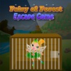 Fairy of Forest Escape Game