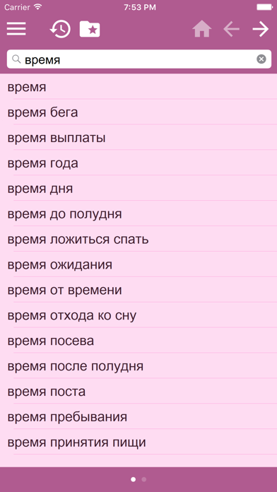 Dictionnaire Russe Français screenshot 3