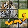 Kids Animal Slide Puzzle 15 Mystic squares game