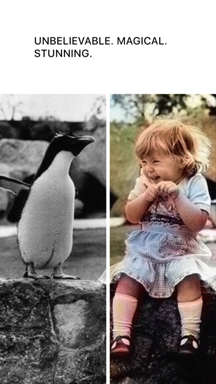 Spectrum - Colorize Black and White Photos screenshot-3