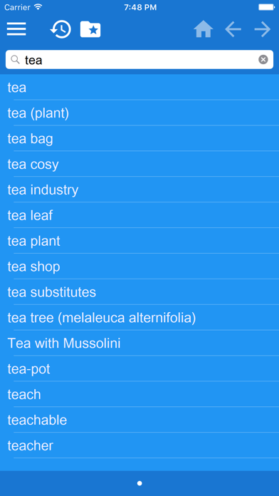 Screenshot #1 pour English Italian Dictionary Free