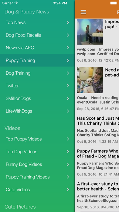 Screenshot #1 pour Dog News & Puppy Training Tips Free