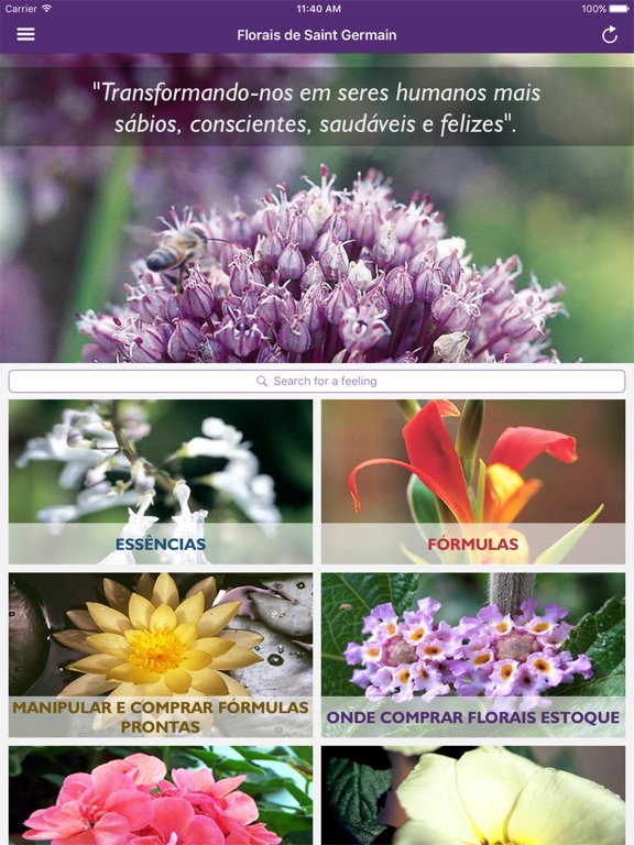 Screenshot #4 pour Florais de Saint Germain