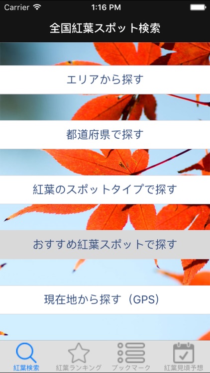 Japanese Autumnal leaves Guide