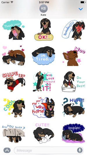 Dachshund Dog Sticker(圖2)-速報App