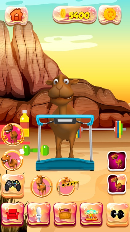 Talking Camel Pet screenshot-4