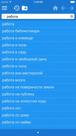 Game screenshot Russian Chinese Simplified dictionary mod apk