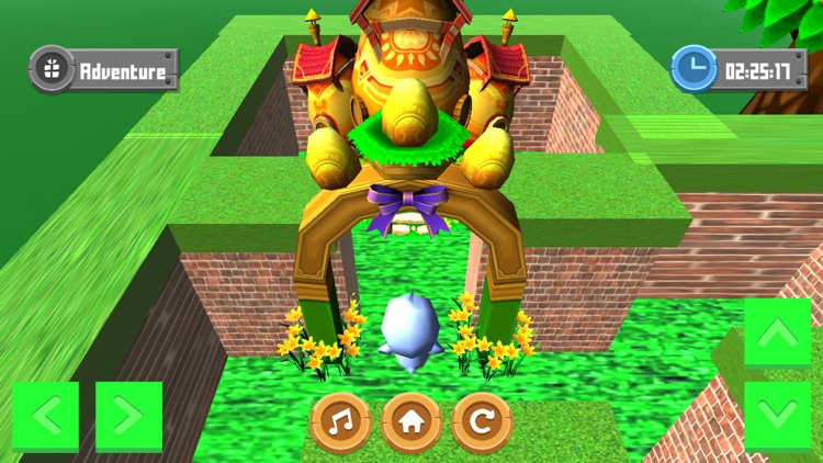 Adventure Maze 3D screenshot-4