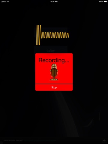 My Voice Record screenshot 2