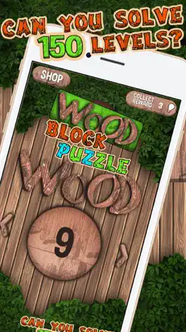 Game screenshot Wood Block Puzzle - Best Brick Match.ing Game hack