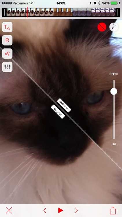 Emulsio - Powerful Video Stabilization
