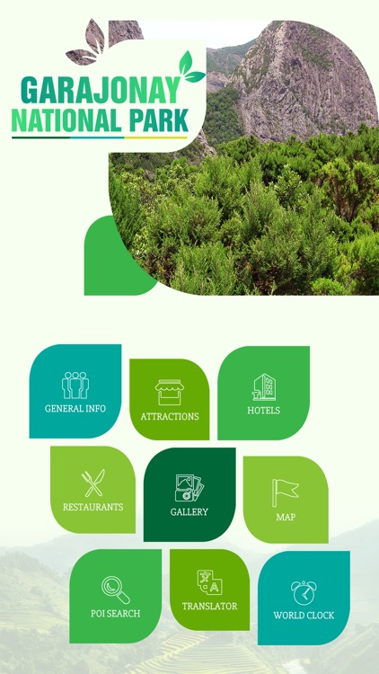 Garajonay National Park Travel Guide