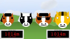 Game screenshot My Horse Jump mod apk