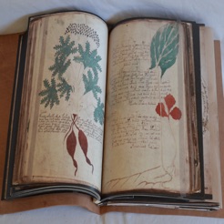 Voynich Manuscript Guide