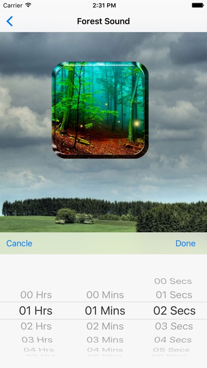 Forest Sounds for Sleep - Ambient Forest Sounds screenshot-3