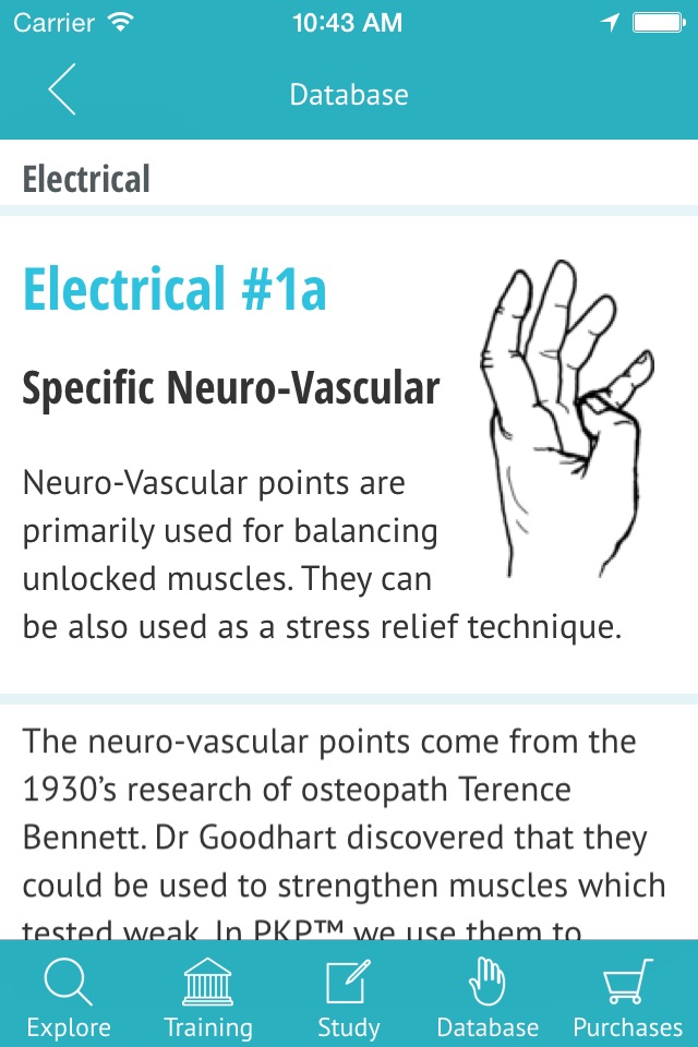 Kinesiology screenshot 4