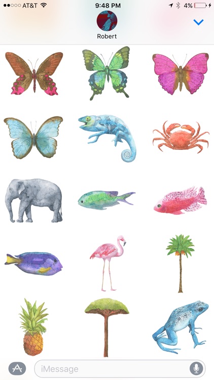 Watercolor Safari