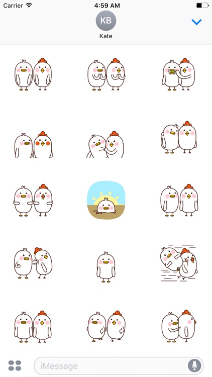 Lovely Couple Chicks