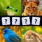 Animals & Animals Sounds (Free) - Wonder Zoo