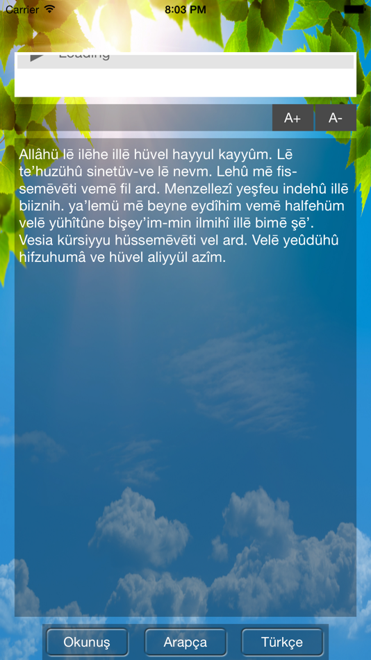 Ayetel Kursi - 1.3 - (iOS)