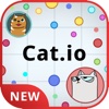 Cat.io FULL