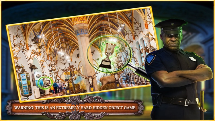 Priceless Hidden Object Games