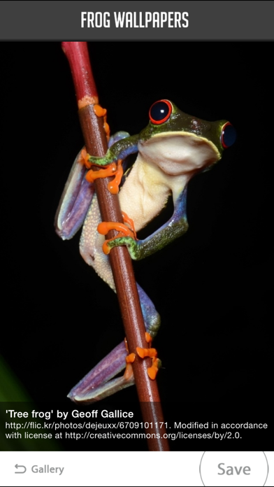 Screenshot #2 pour Frog Wallpapers