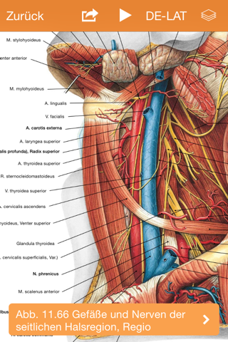 Sobotta Anatomy Atlas screenshot 4
