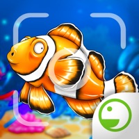 Fishy Ola - Fish Paparazzi apk