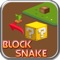 Block Snake is a superb puzzle game Here is a addictive casual game for you