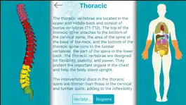 Game screenshot Mitchell Chiropractic mod apk