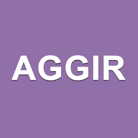 螢幕擷取畫面 (2) AGGIR - GIR et Calcul APA
