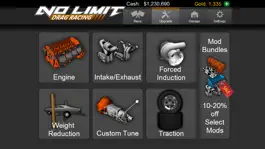Game screenshot No Limit Drag Racing hack