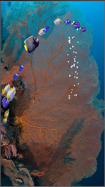 iFishies