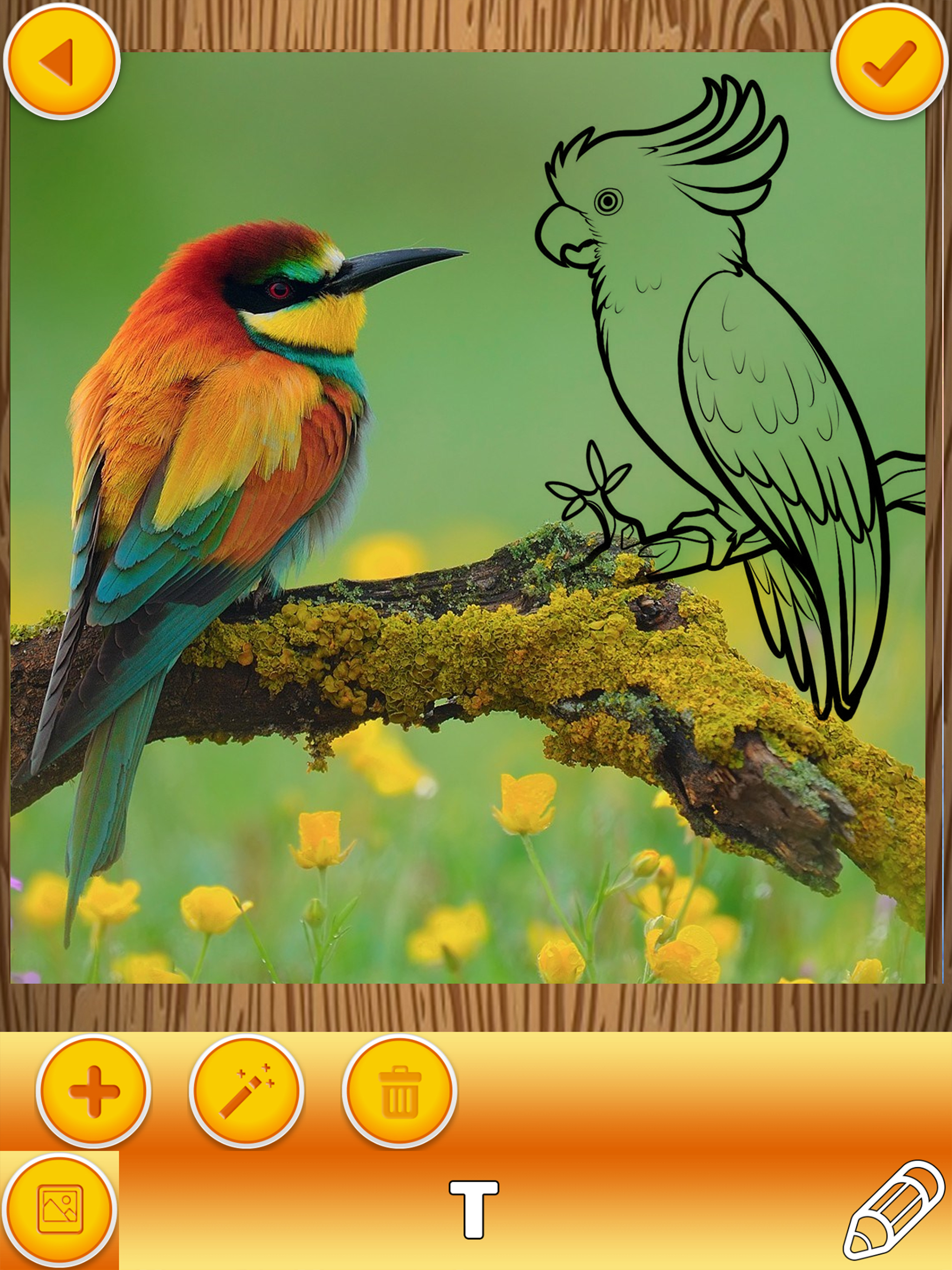 Paint on Pics – Write on Photos to Make your Memes