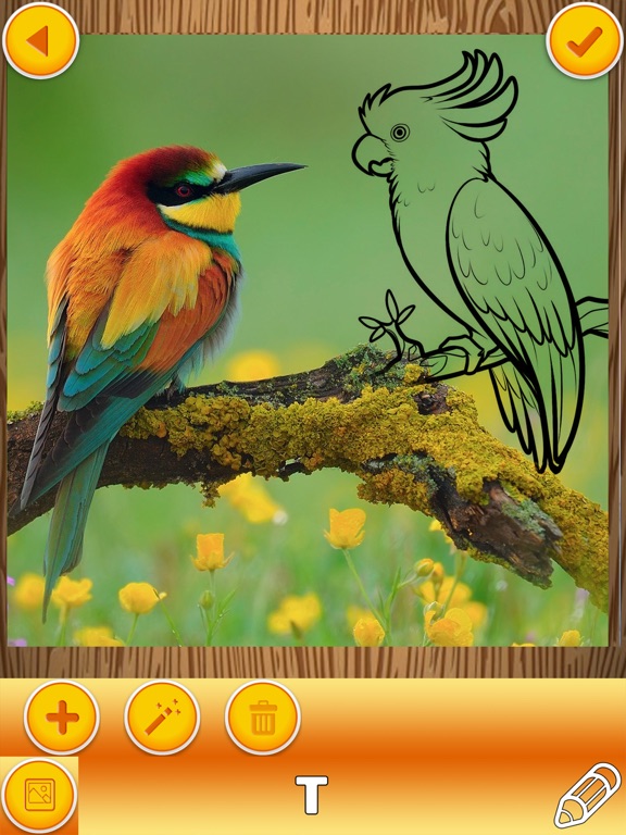 Paint on Pics – Write on Photos to Make your Memes iPad screenshot