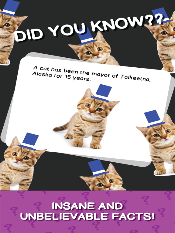 Screenshot #4 pour True or False : Trivia Facts Crack