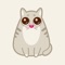 Funny Cat app will help you create funny memes with cats