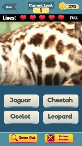 Game screenshot Zoom Trivia - Animals Edition apk