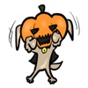 Pumpkin dog Stickers