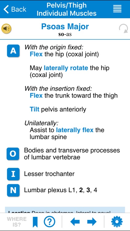 AMTA Massage Anatomy Guide screenshot-3