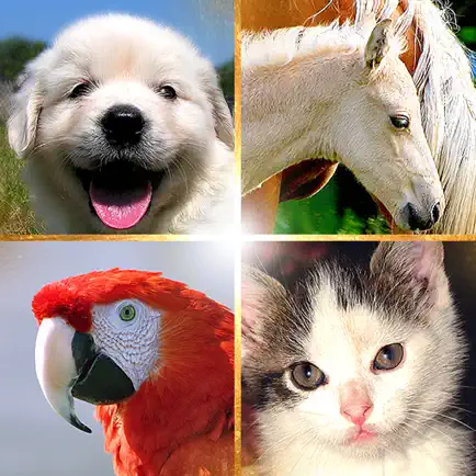 Cute Pets Slideshow & Wallpapers (HD) Cheats