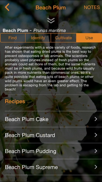 Wild Edibles Forage screenshot-4