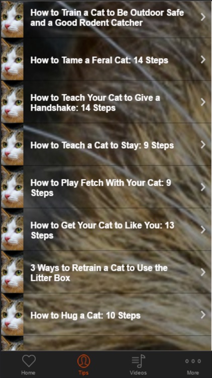 Cat Training - Basic Tips For Beginners screenshot-3