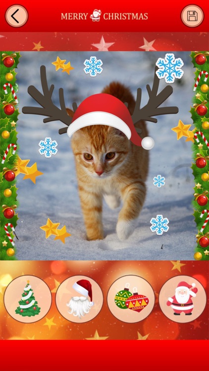 Funny Face - New Year, Christmas Photo Stickers