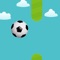 Flappy Football 2014