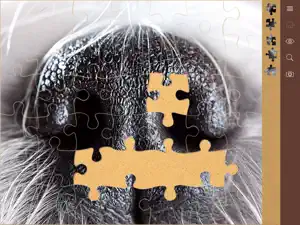 1000 Jigsaw Puzzles screenshot #5 for iPad